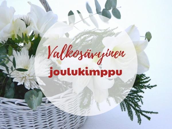 Valkoinen Joulukimppu korkea